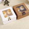 Cake & Cupcake Boxes