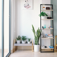 Decorative Objects