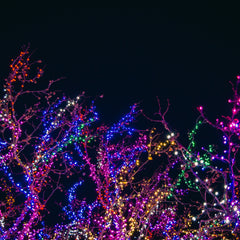 Solar Powered Christmas Lights