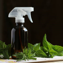 Air Freshener