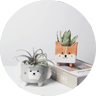 Flower Pots & Planters