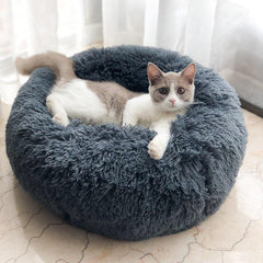 Pet Beds