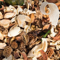 Potpourri