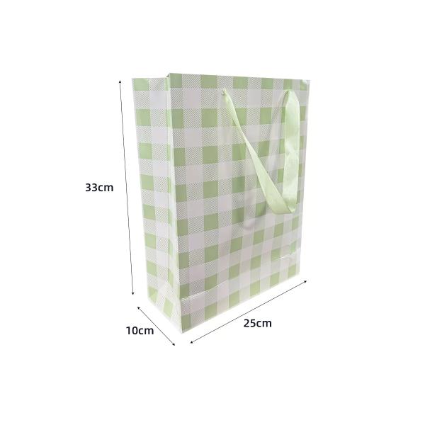 Green Gingham Paper Bag - 25cm x 10cm x 33cm