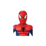 Load image into Gallery viewer, Deluxe Spiderman Kids Costume - Large