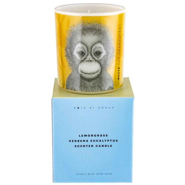 Ollie The Orangutan Candle - 10cm x 12.5cm