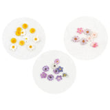 Load image into Gallery viewer, Craft Fillers In A Disc Flowers - 5.7cm x 0.7cm
