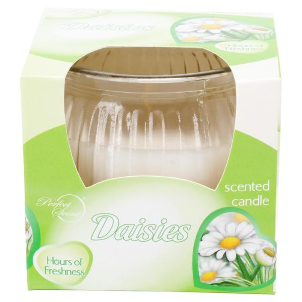 Candle Glasslight Scented 6.5cm Daisies