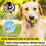 Load image into Gallery viewer, 3 Pack Dog Fetch Tennis Balls
