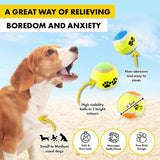 Load image into Gallery viewer, 3 Pack Dog Fetch Tennis Balls
