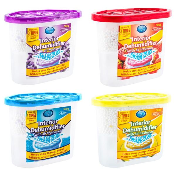 Dehumidifier With Air Freshener Interior - 300g