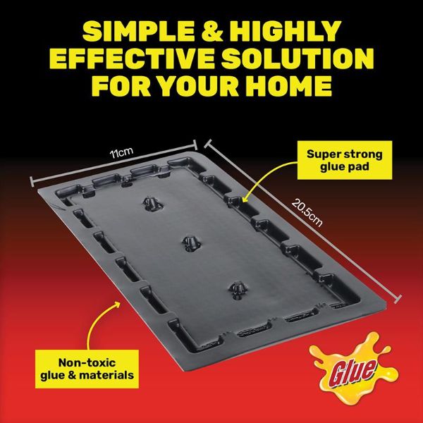 6 Pack Black & Clear Glue Trap Mouse - 20.5cm x 11cm x 1cm