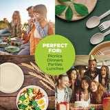 Load image into Gallery viewer, 30 Pack Round Eco Friendly Wheat Straw Dinner Plate - 23cm