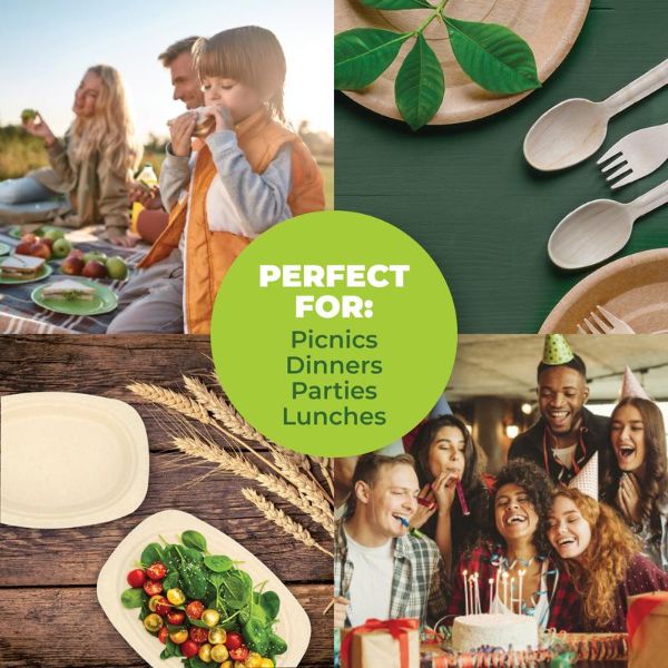 30 Pack Oblong Eco Friendly Dinner Plate - 23cm