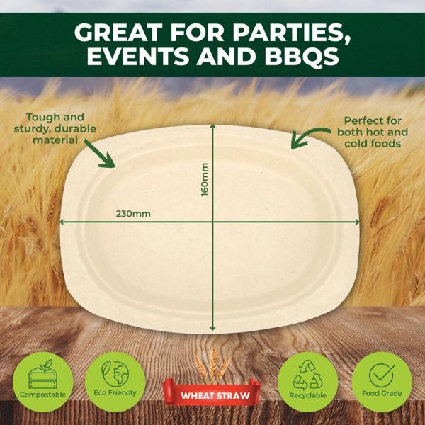 30 Pack Oblong Eco Friendly Dinner Plate - 23cm
