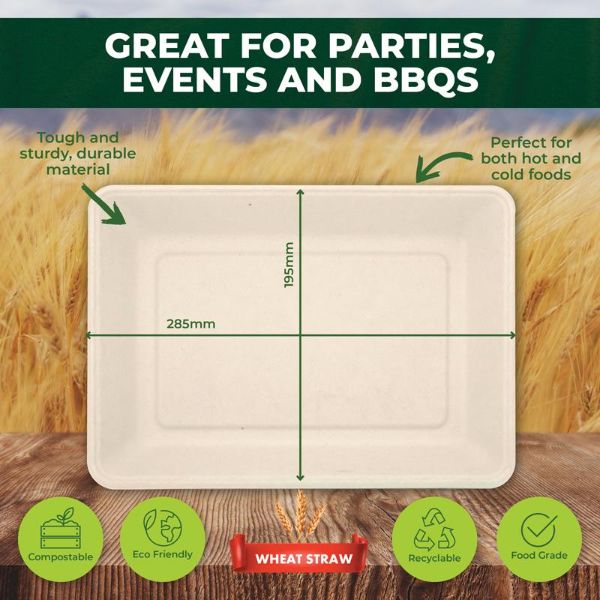 12 Pack X-Large Eco Friendly Serving Tray - 28.5cm x 19.5cm