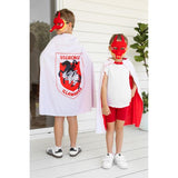 Load image into Gallery viewer, St George Illawarra Dragons Mini Mascot Mask