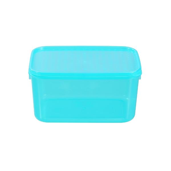 Lemon & Lime Simple Fresh Food Container - 2L