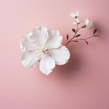 Load image into Gallery viewer, 5 Pack White A4 Rectangle Thick Wafer Paper