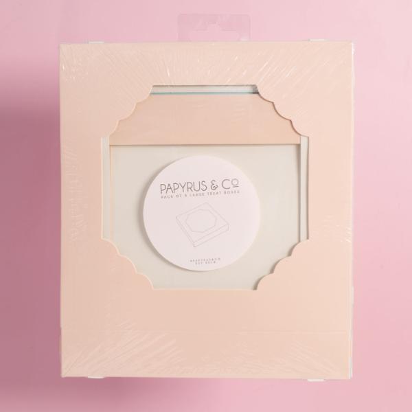5 Pack Large Pastel Pink Papyrus Scalloped Treat Box