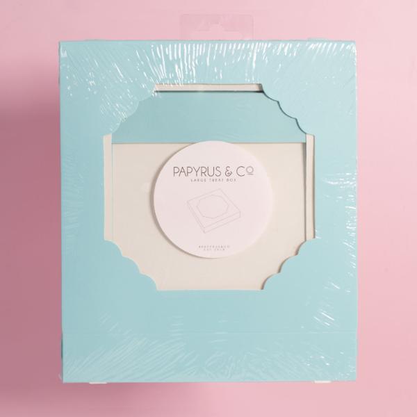 5 Pack Large Pastel Blue Papyrus Scalloped Treat Box