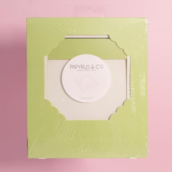 5 Pack Large Pastel Green Papyrus Scalloped Treat Box