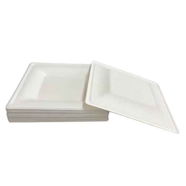 25 Pack Eco Friendly Zafpack Square Sugarcane Tray - 16cm