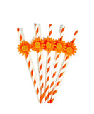 Load image into Gallery viewer, 5 Pack Daisy Paper Straw