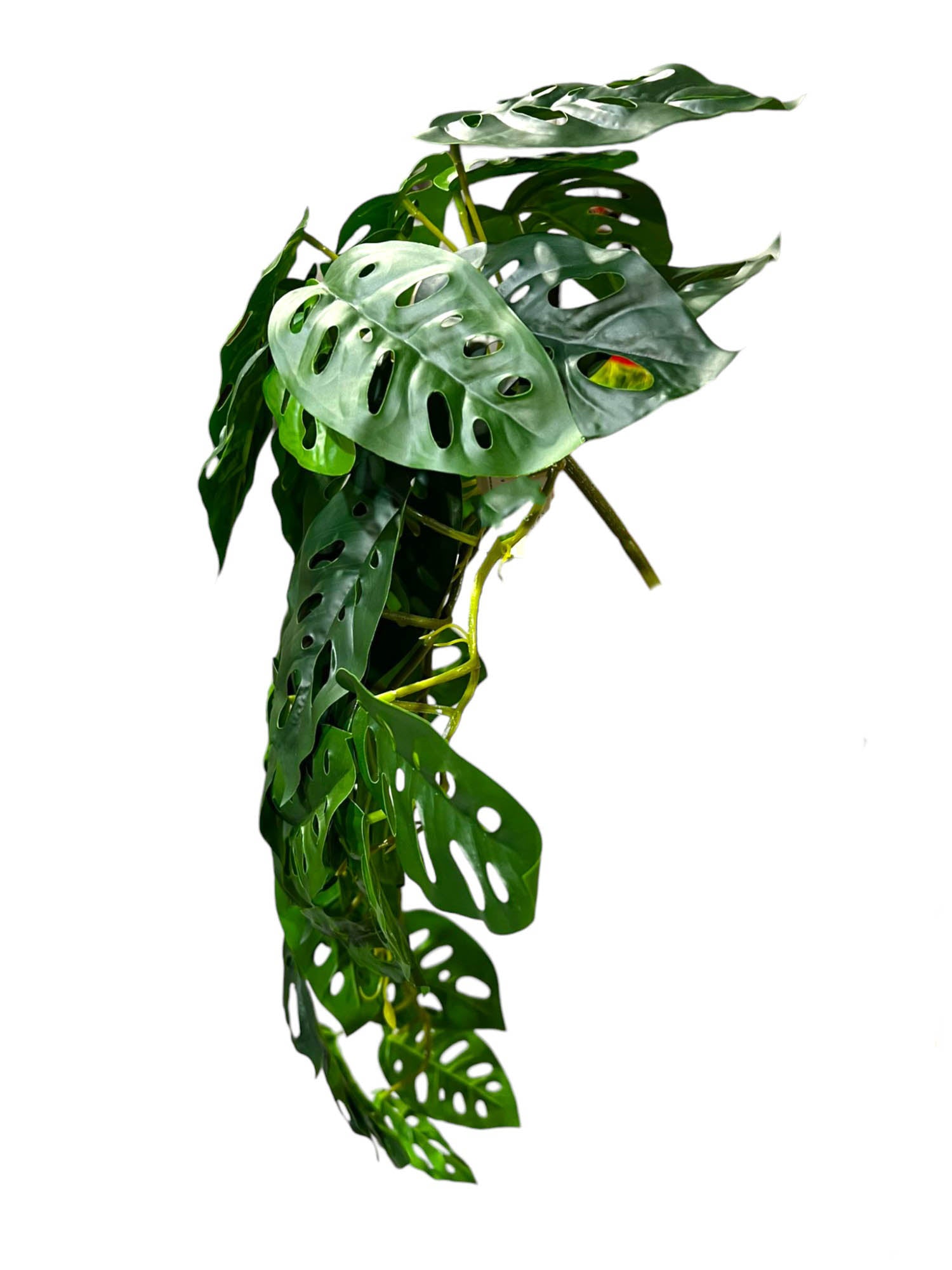 Green Leaf Spray Bunch