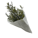 Load image into Gallery viewer, Coloured Silicon Grass Bouquet