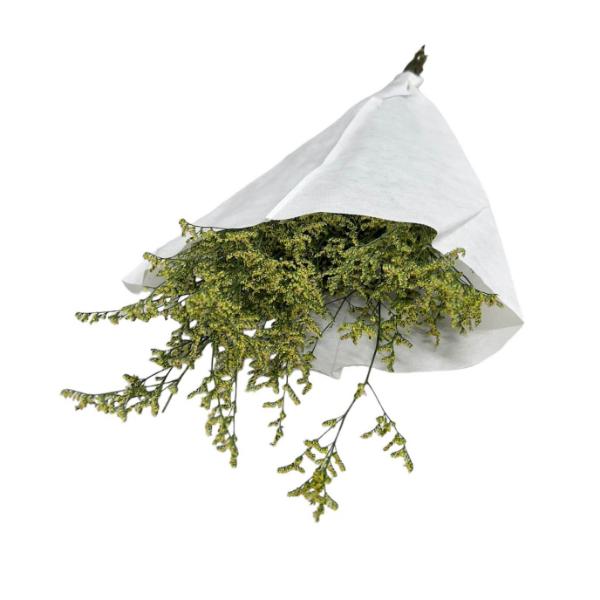 Coloured Silicon Grass Bouquet