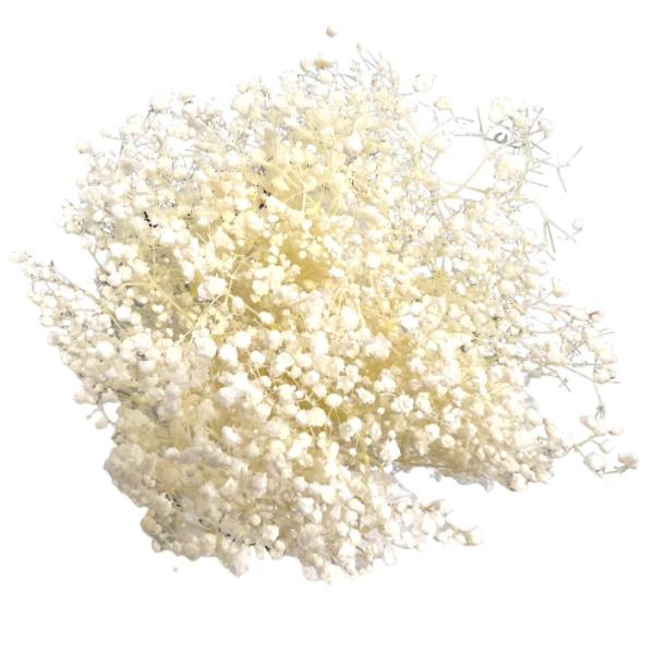 Coloured Silicon Dried Baby Breath Bouquet