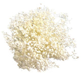 Load image into Gallery viewer, Coloured Silicon Dried Baby Breath Bouquet