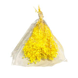 Load image into Gallery viewer, Coloured Silicon Dried Baby Breath Bouquet