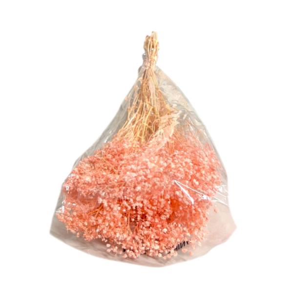 Coloured Silicon Dried Baby Breath Bouquet