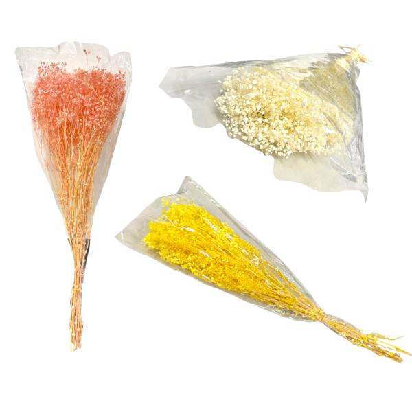 Coloured Silicon Dried Baby Breath Bouquet