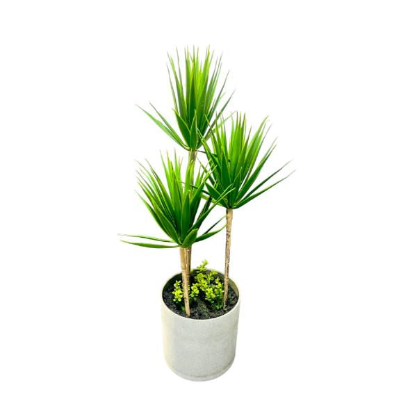 3 Aelo Plant - 40cm