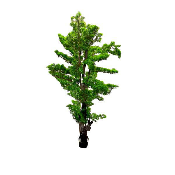 Bonsi Potted Tree - 170cm