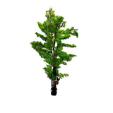 Load image into Gallery viewer, Bonsi Potted Tree - 170cm
