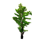 Load image into Gallery viewer, Bonsi Potted Tree - 170cm
