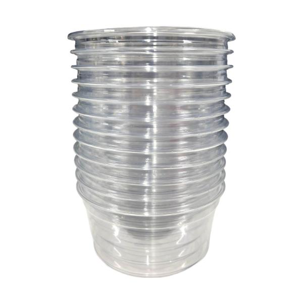 12 Pack Clear Cups With Lids - 12oz