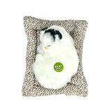 Load image into Gallery viewer, Realistic Kitten - 15cm x 17cm