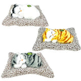 Load image into Gallery viewer, Realistic Kitten - 15cm x 17cm