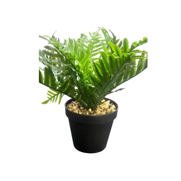 Green Leaf Potted Plant - 20cm