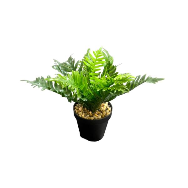 Green Leaf Potted Plant - 20cm
