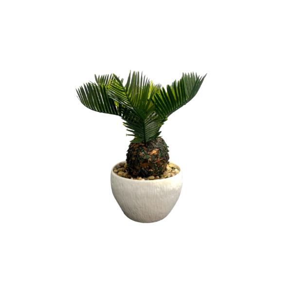 Small Palm Plant - 25cm