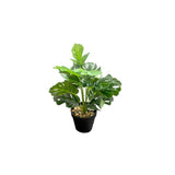 Load image into Gallery viewer, Small Palm Plant - 25cm