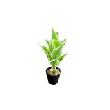 Load image into Gallery viewer, Small Palm Plant - 25cm