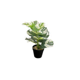 Load image into Gallery viewer, Small Palm Plant - 25cm