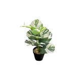 Load image into Gallery viewer, Small Palm Plant - 25cm